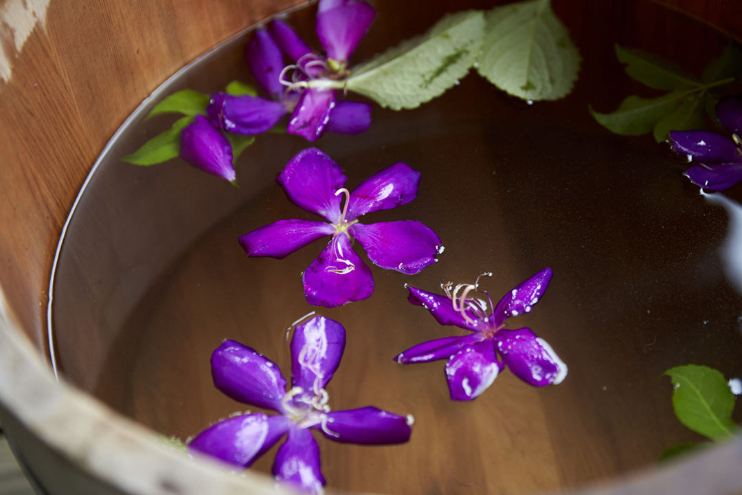 4-2-7 香草療癒泡腳樂